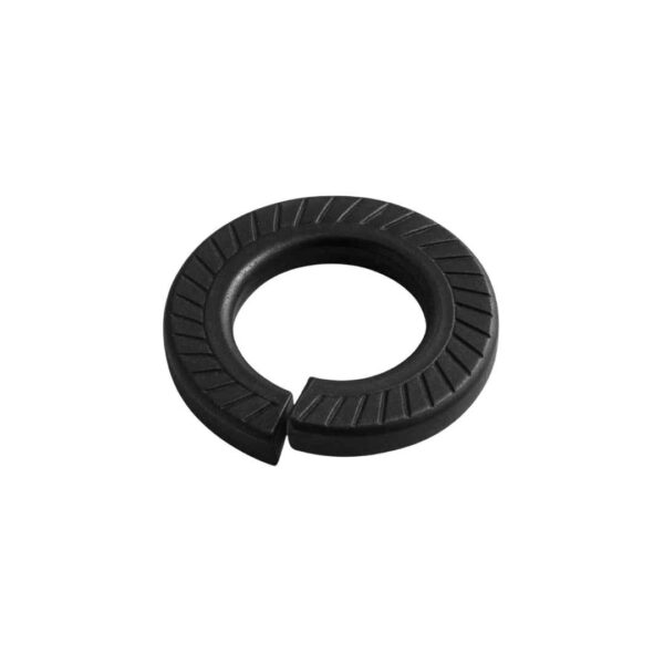 MS Spring Washers