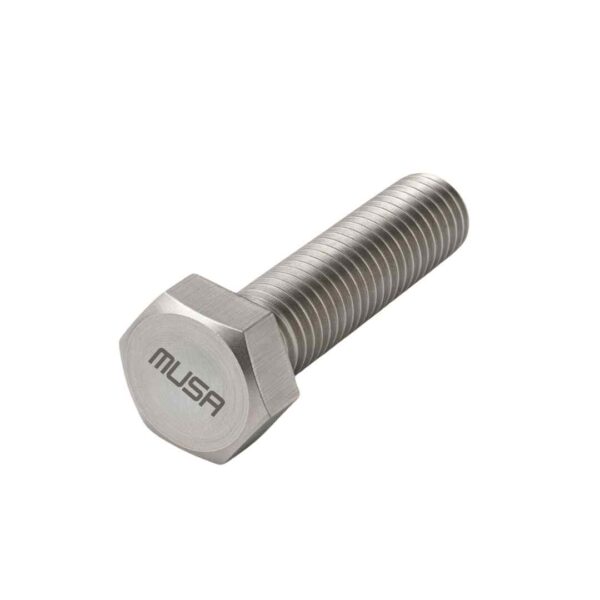 SS Hex Bolts 202