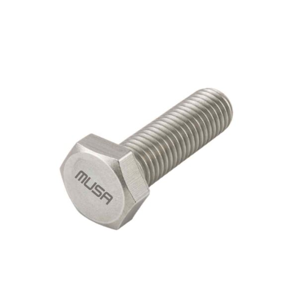 SS Hex Bolts 304